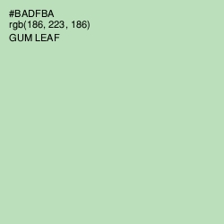 #BADFBA - Gum Leaf Color Image